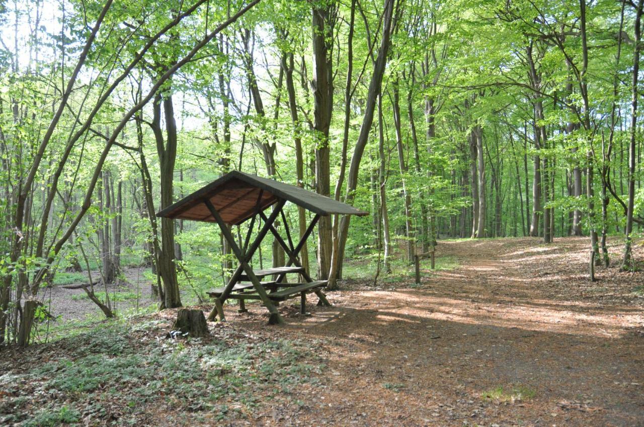 Ferienhaus Caselow 23 Bergholz Buitenkant foto