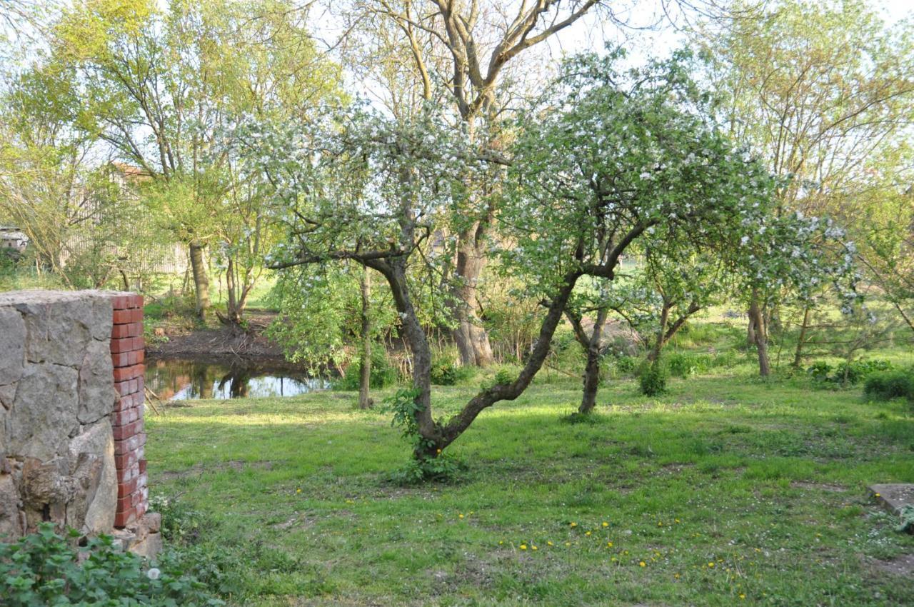 Ferienhaus Caselow 23 Bergholz Buitenkant foto