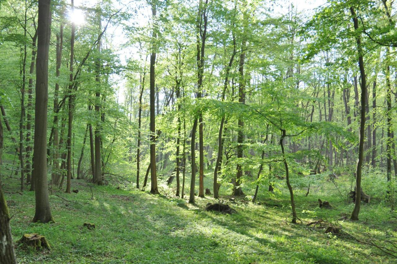Ferienhaus Caselow 23 Bergholz Buitenkant foto