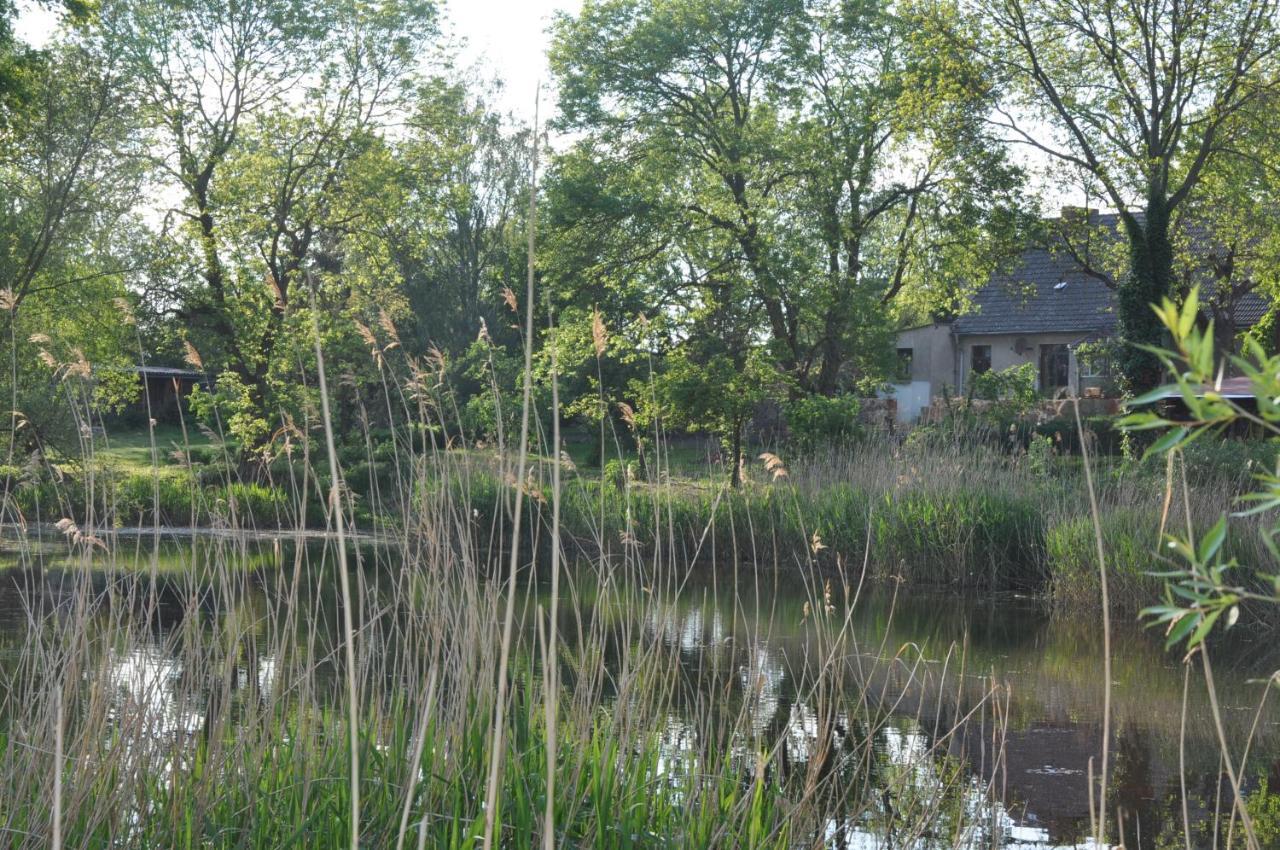Ferienhaus Caselow 23 Bergholz Buitenkant foto