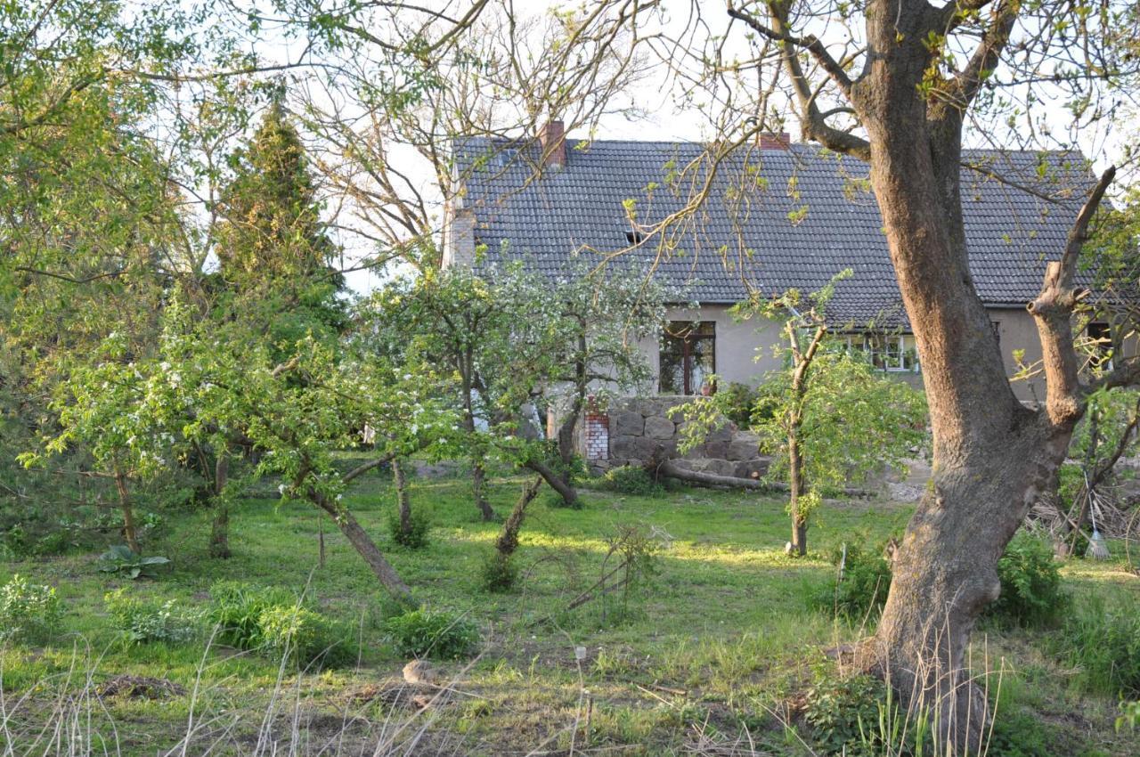 Ferienhaus Caselow 23 Bergholz Buitenkant foto